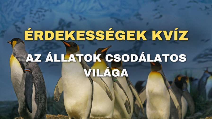 Erdekessegek kviz 5