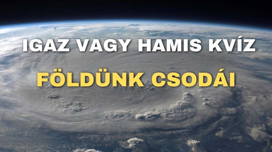 Igaz vagy hamis kviz 4