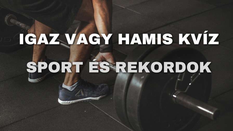 Igaz vagy hamis kviz 6