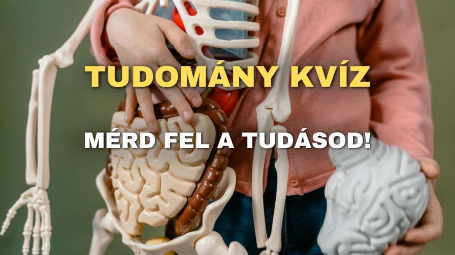 Tudomany kviz 1