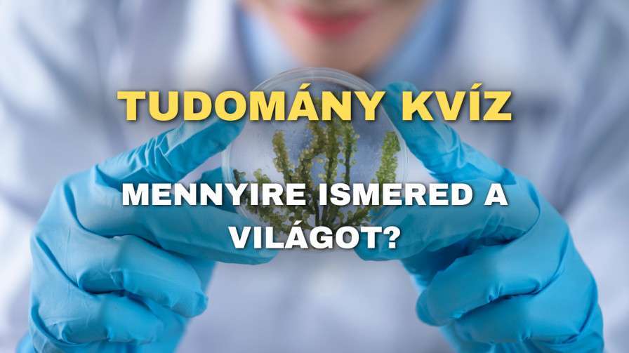 Tudomany kviz 2